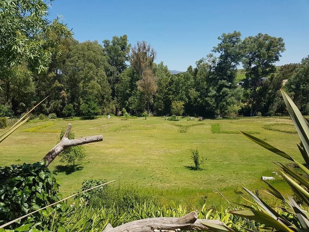 Lady Loch Country House Wellington Bagian luar foto